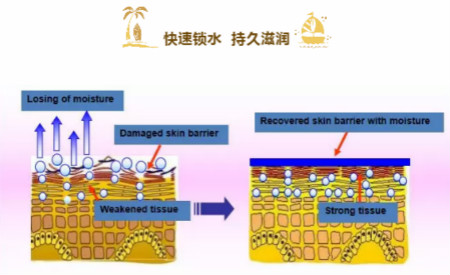 NEWNEW终极水润补水面霜，让你告别冬季撒哈拉沙漠!