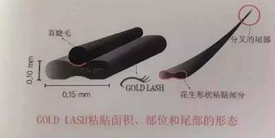 GOLD LASH：快看！拉高颜值的秘密法宝……